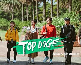 蕾丝视频《TOP DOG》免费在线观看