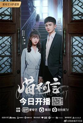 藏精阁《喵不可言》免费在线观看