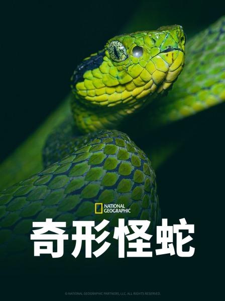 藏精阁《奇形怪蛇》免费在线观看